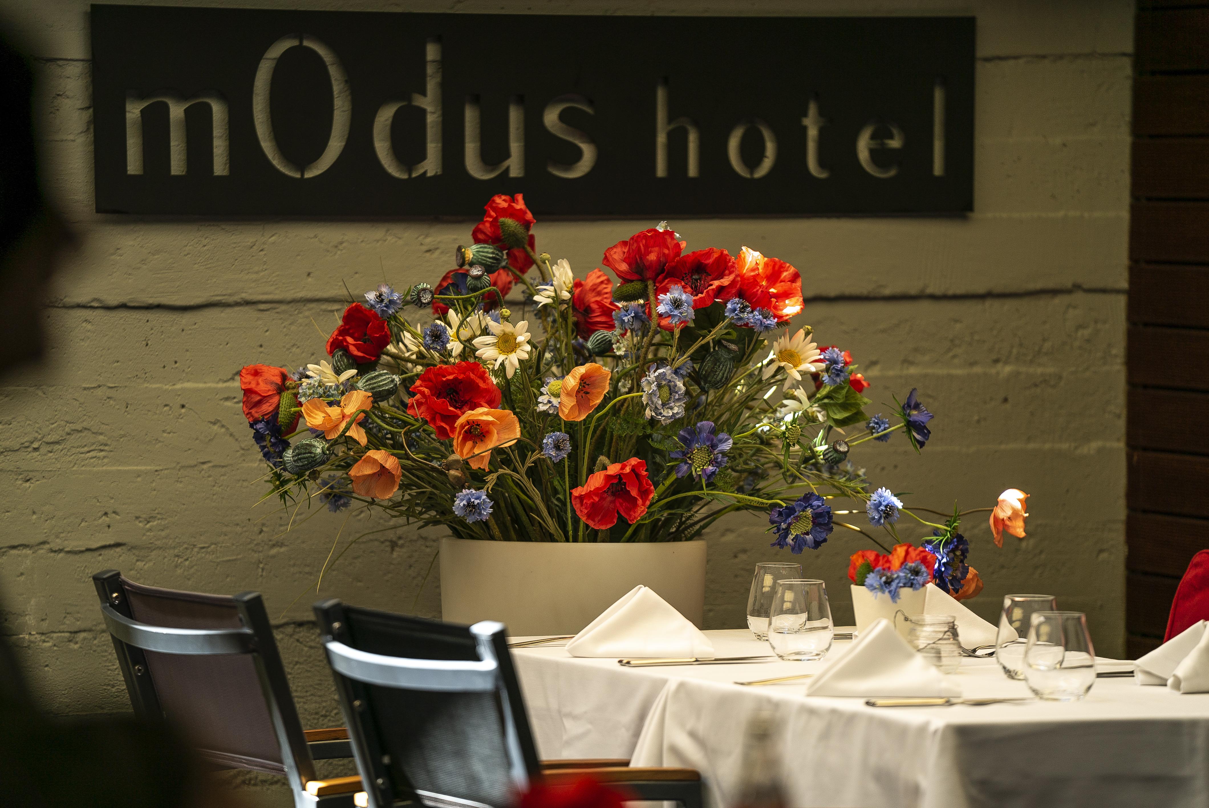 Modus Hotel Varna Bagian luar foto